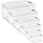 6er-Set Vorratsboxen Transparent (1,25–30L): Robuste Aufbewahrungsboxen & Fri...