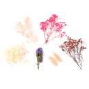 Trockenblumen-Set Natur - Rosafarbene Blüten für stilvolle Ganzjahres-Deko - ...