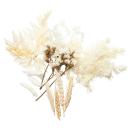 Natürliches Trockenblumen-Set - Stilvolle & vielseitige Deko für Zuhause - Bl...