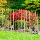 Haselnuss-Staketenzaun - robuster Gartenzaun 90x500cm - naturbelassenes Holz ...