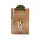 Wunscherfüller Glas mit Korkverschluss - Natürliche Pusteblume - Handgefertig...