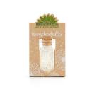 Wunscherfüller Glas mit Korkverschluss - Natürliche Pusteblume, handgefertigt...