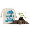 Samenbomben Gänseblümchen 8er-Set - Einfach Blumen pflanzen Garten Balkon Ges...