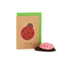 Glückwunschkarte mit Saatgut für Blumen - Marienkäfer Karte zum Bepflanzen - ...