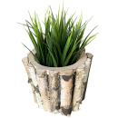 Birkenholz Pflanztopf rund - Echtholz für Blumen & Dekoration - Ø 13x11cm - N...