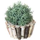 Birkenholz Pflanztopf rund – Naturdeko für Zuhause & Feste – Ø 18,5 x H 10 cm...