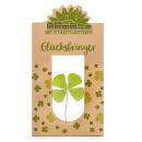 Glücksbringer vierblättriges Kleeblatt hinter Glas - 100% Natur & handgepflüc...