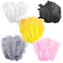 Dekofedern 5er-Set - Flauschige Naturfedern zum Basteln & Dekorieren von Gesc...