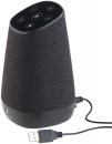 Mobiler WLAN-Multiroom-Lautsprecher mit Amazon Alexa und Akku - 30 Watt Spitz...